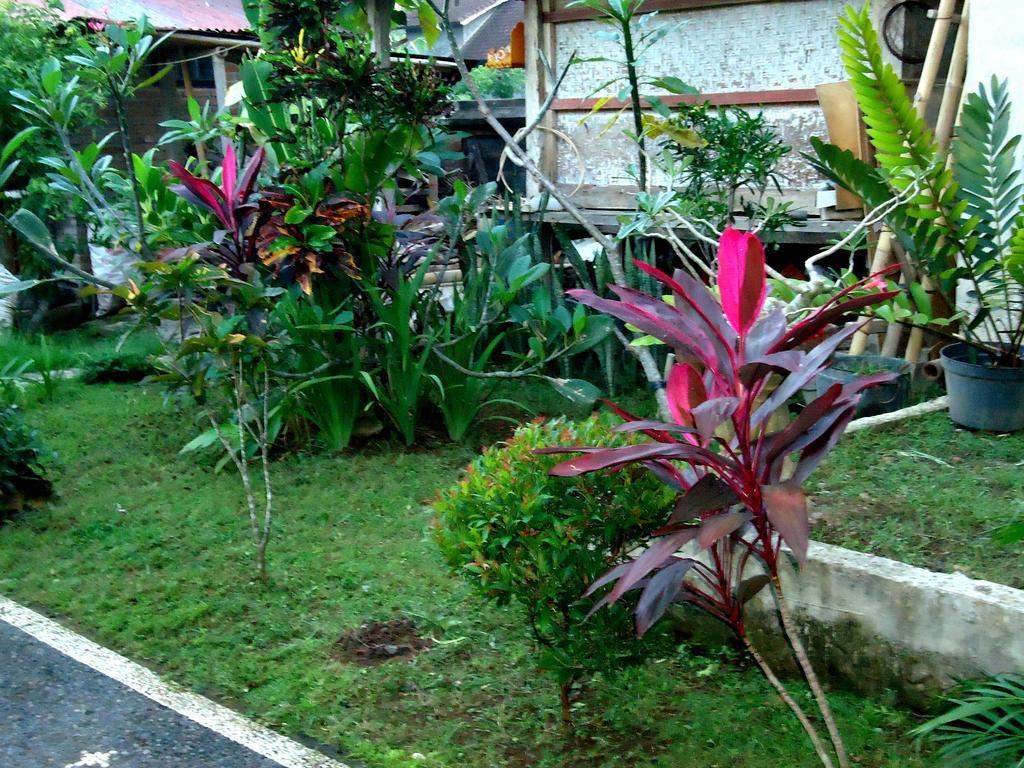 Dewa Put Guest House Ubud Zewnętrze zdjęcie