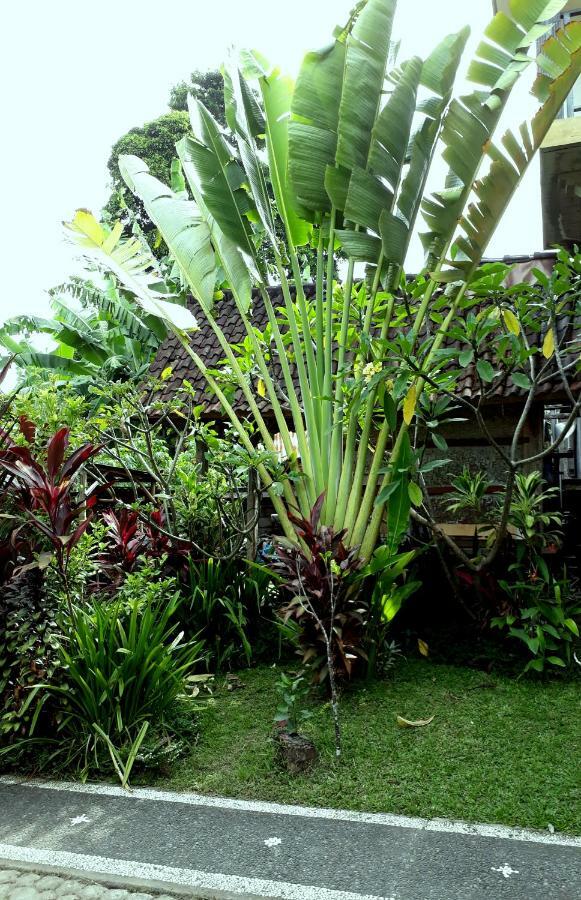 Dewa Put Guest House Ubud Zewnętrze zdjęcie